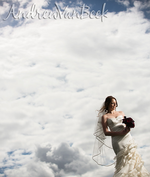 Ottawa Wedding Photographer