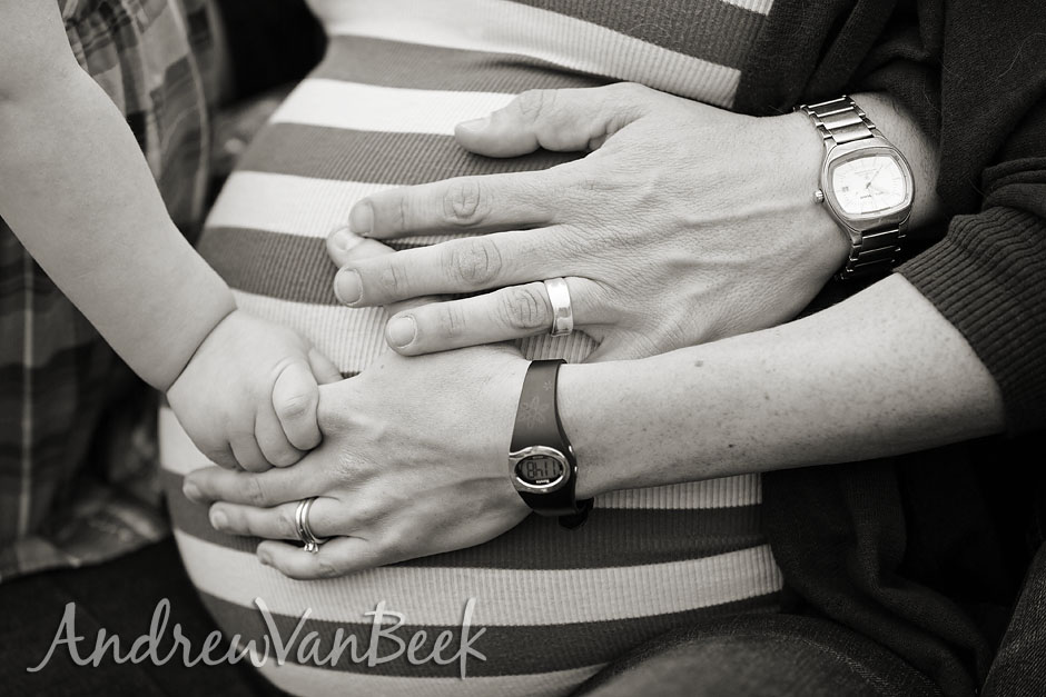 Ottawa Family Portraits (13)