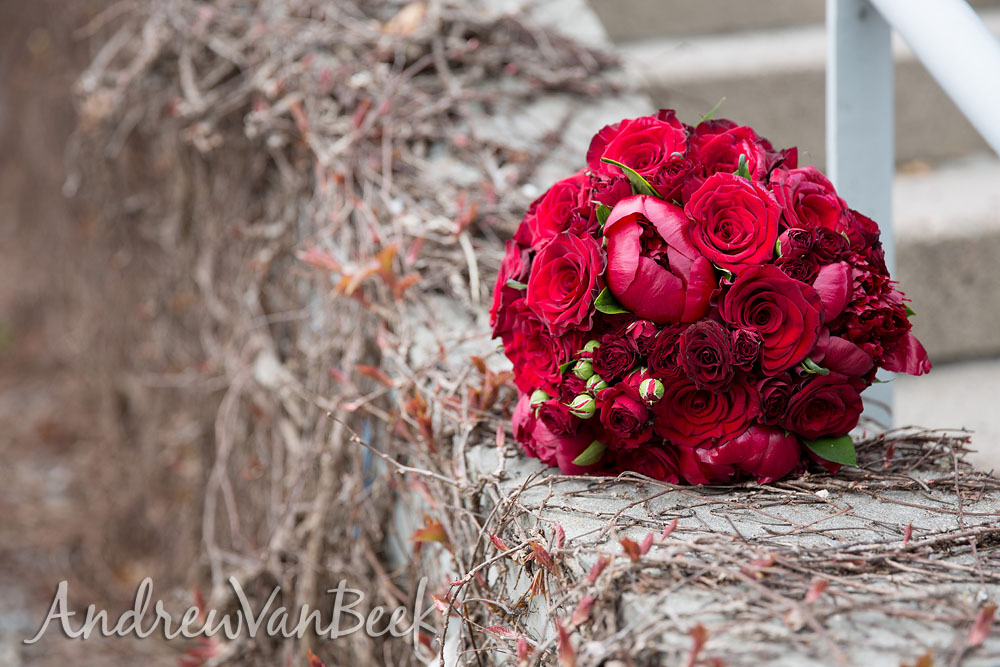 Chateau-Laurier-Wedding-05