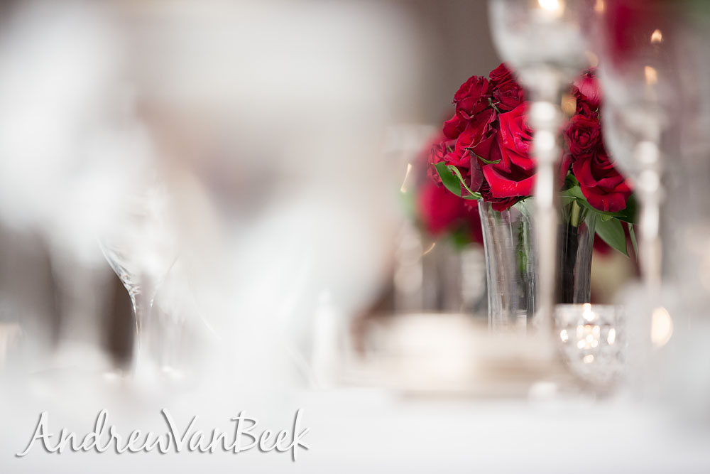Chateau-Laurier-Wedding-08