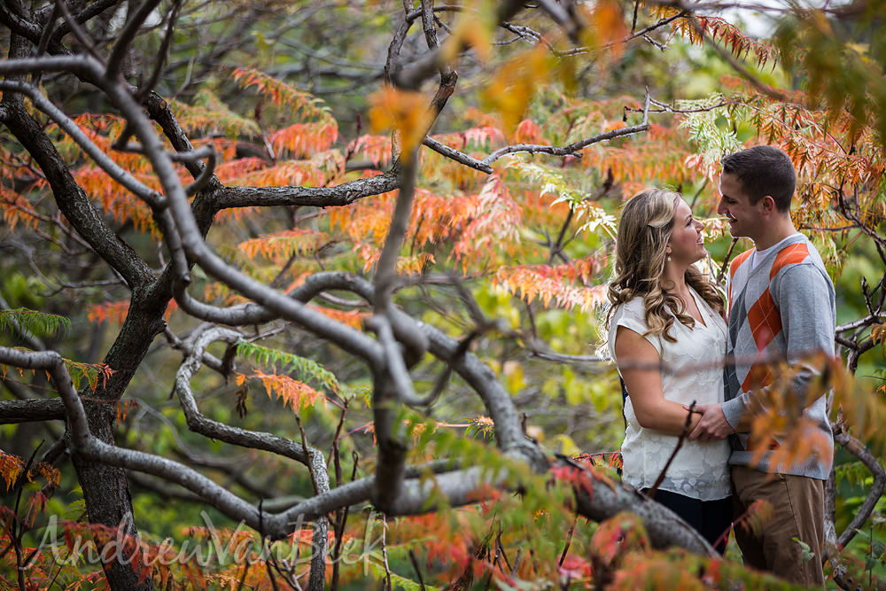 Ottawa-Arboretum-Photography-03