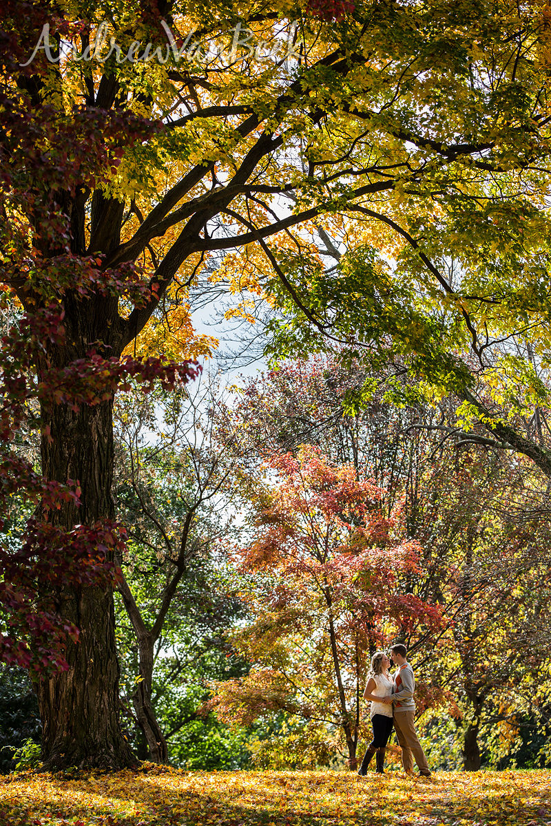 Ottawa-Arboretum-Photography-06