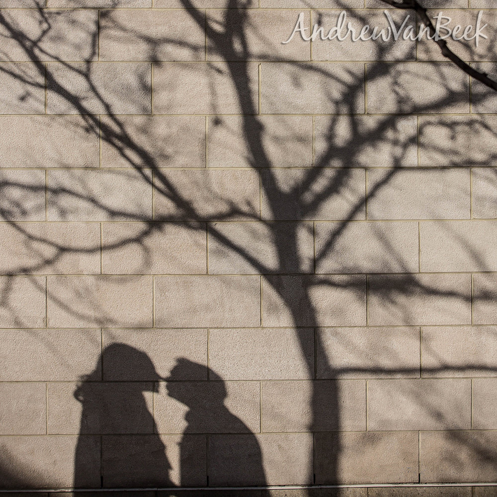 Ottawa-Engagement-Photos-13