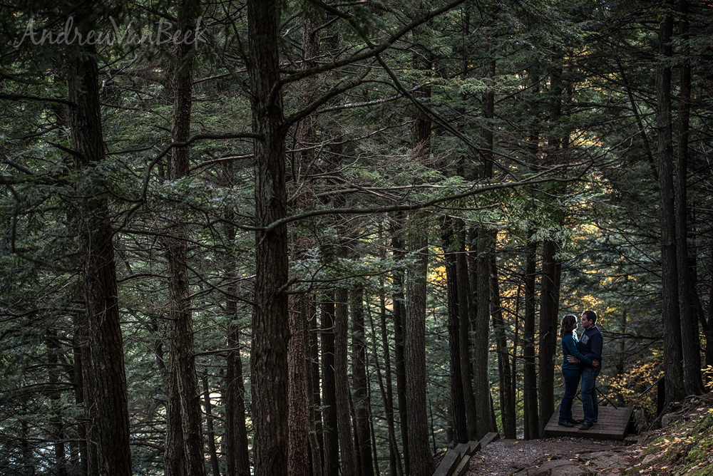 ganineau-park-engagement-11