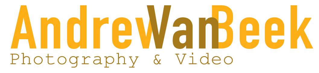 Ottawa Wedding & Portrait Photography