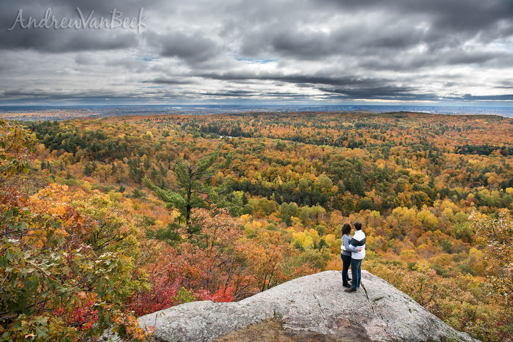 An engagement shoot in the Gatineau Park